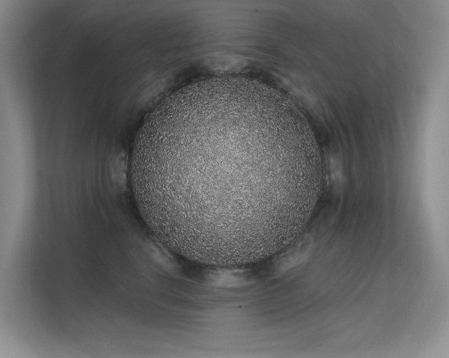 X0000112380664200908131530