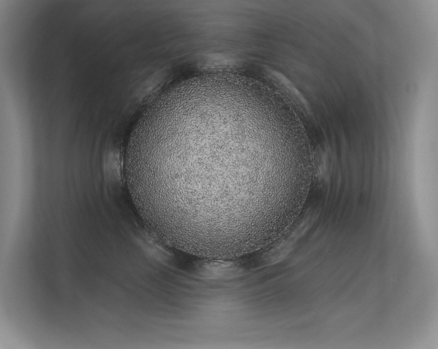 X0000112380669200908131530