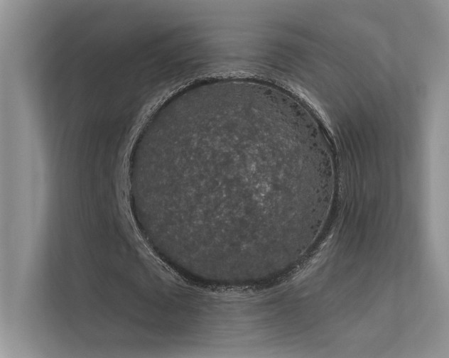 X0000112380673200908131529