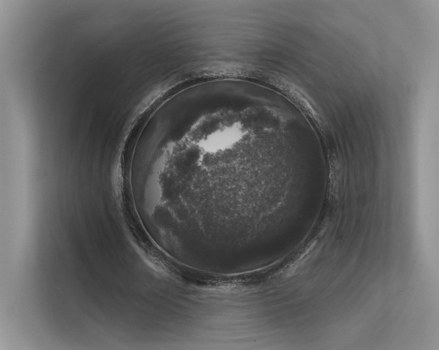 X0000112380674200908131529