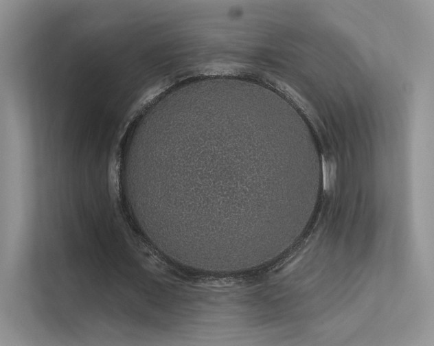 X0000112380675200908131529