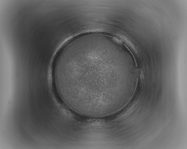 X0000112380676200908131529