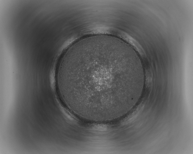 X0000112380677200908131529