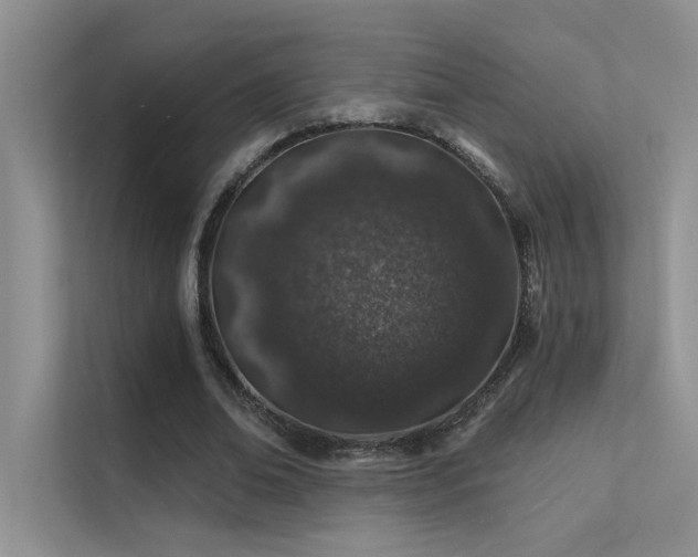 X0000112380678200908131529