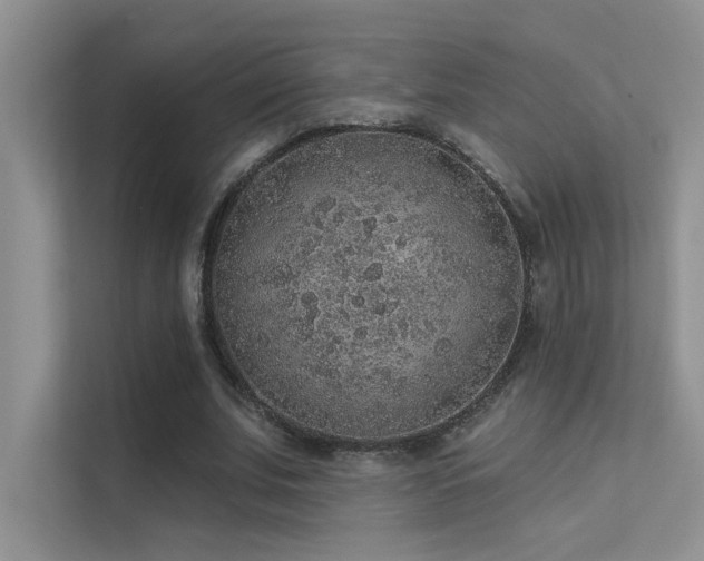 X0000112380679200908131529