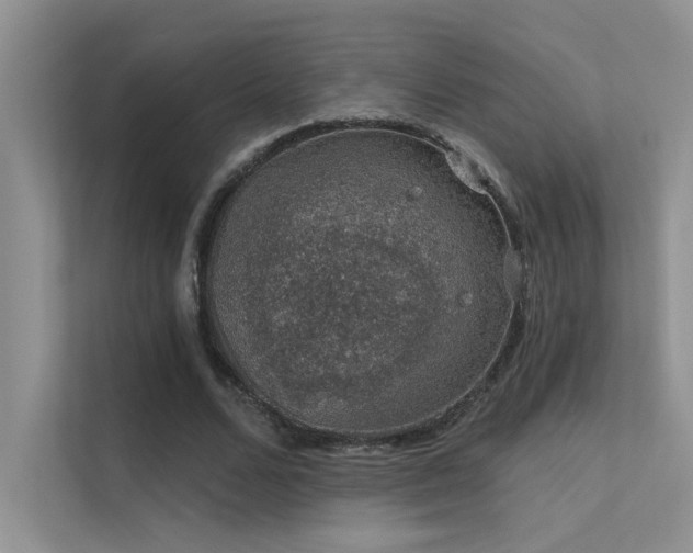 X0000112380680200908131529