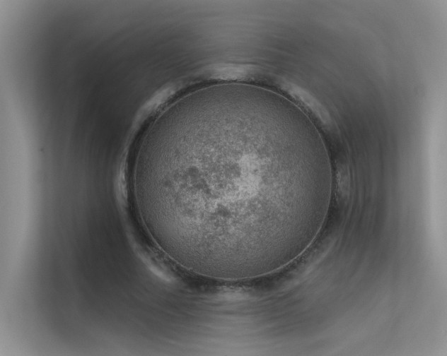 X0000112380682200908131529