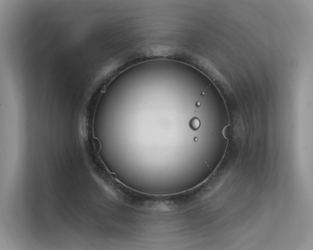 X0000112380683200908131529