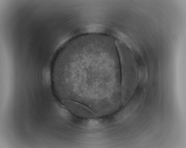 X0000112380684200908131529