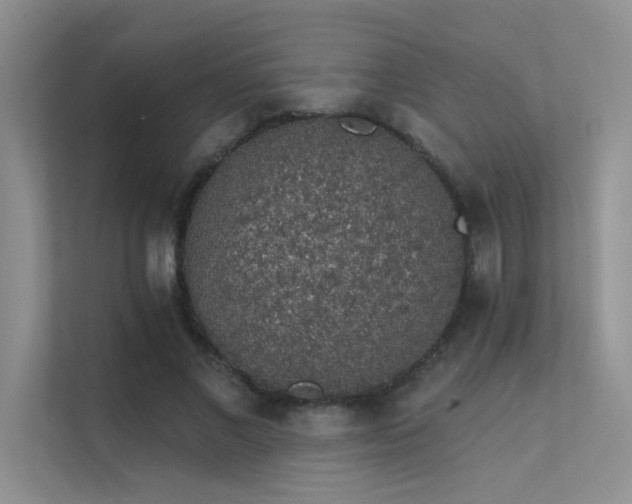 X0000112380685200908131529