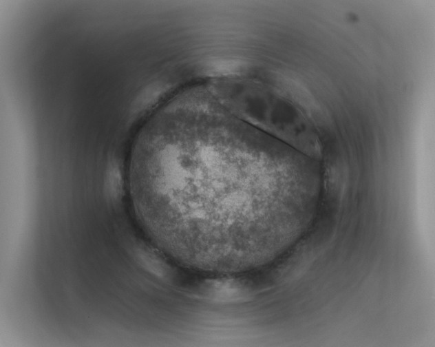 X0000112380688200908131529