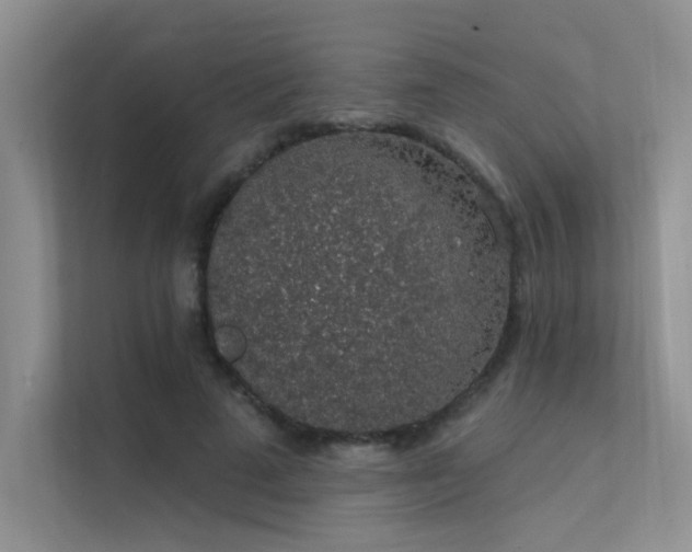 X0000112380689200908131529