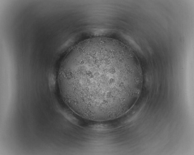 X0000112380691200908131529