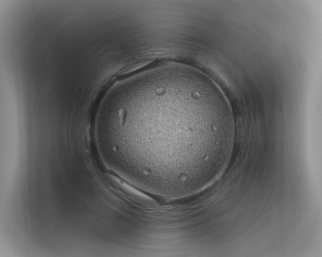 X0000112380692200908131529