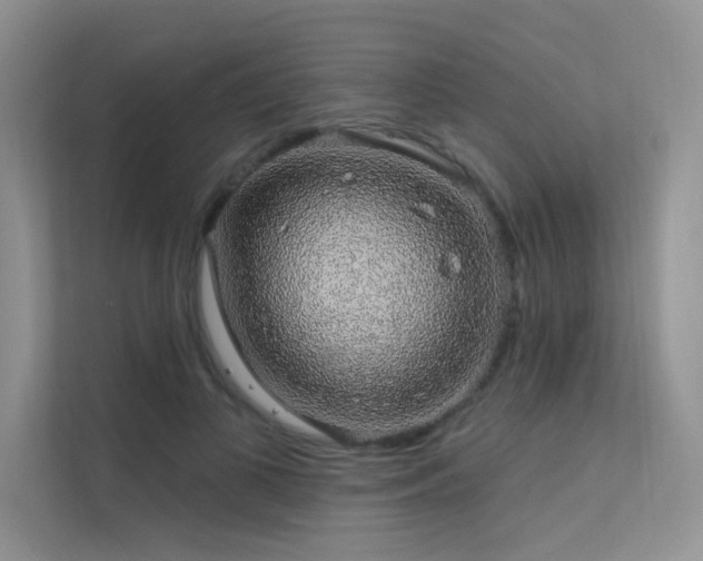 X0000112380693200908131529