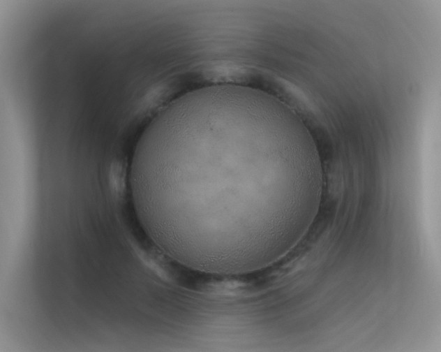 X0000112380695200908131529