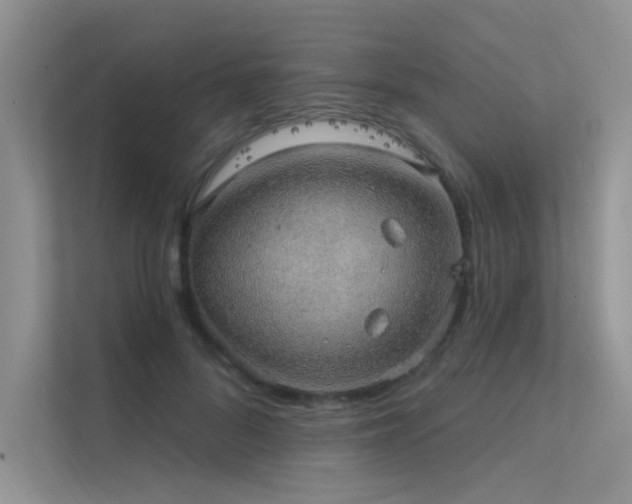 X0000112380696200908131529