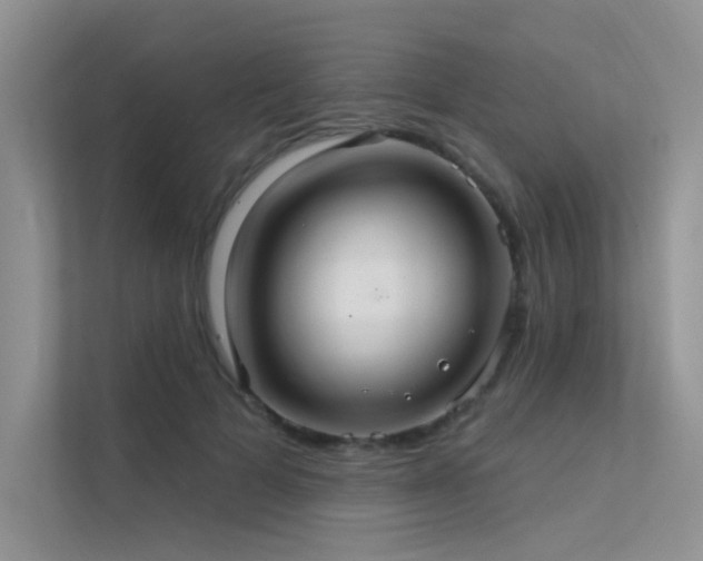 X0000112380697200908131529