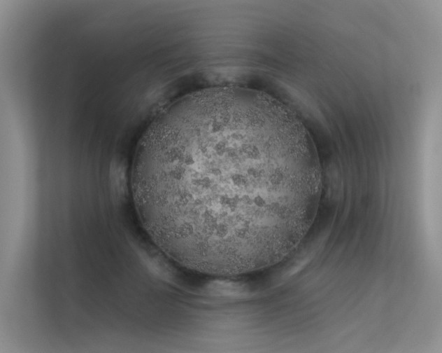 X0000112380699200908131529