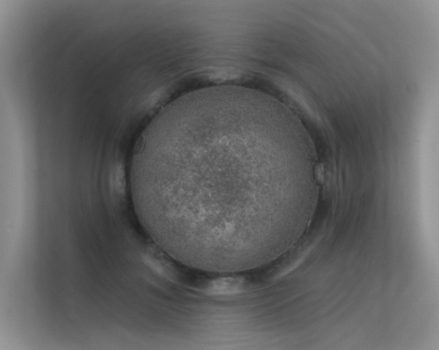 X0000112380700200908131529