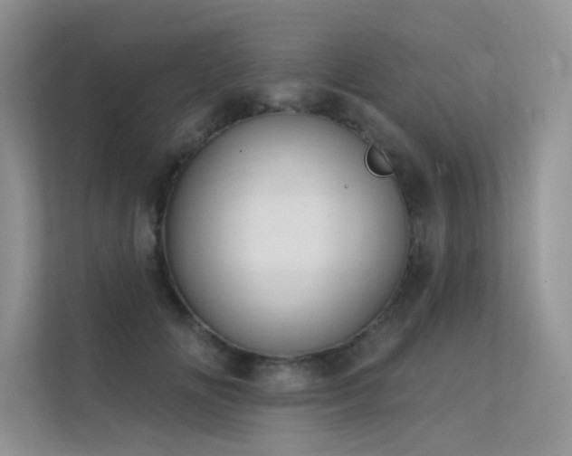 X0000112380702200908131529