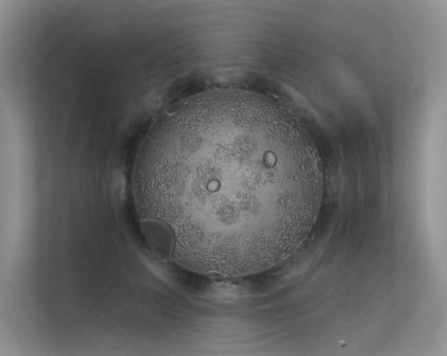 X0000112380703200908131529