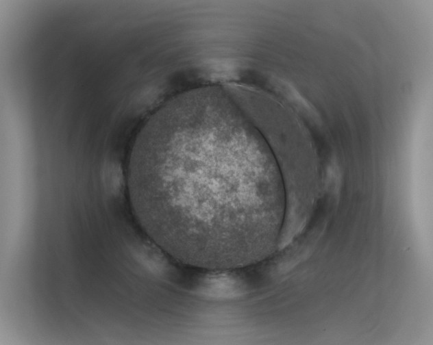 X0000112380704200908131529