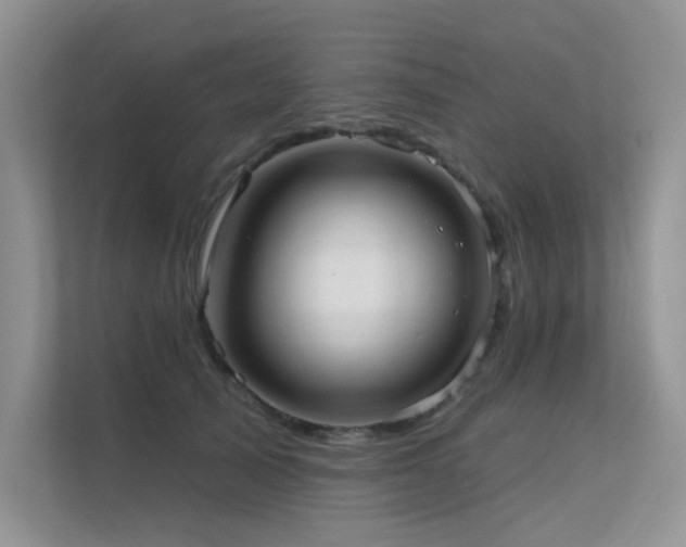 X0000112380705200908131529