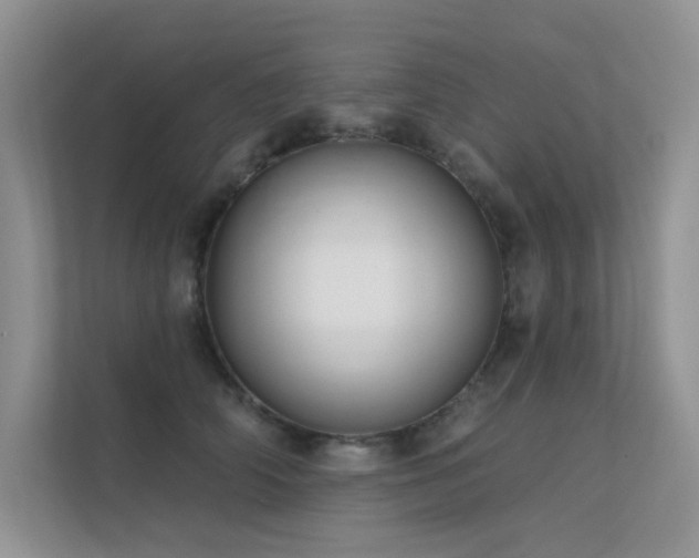 X0000112380706200908131529