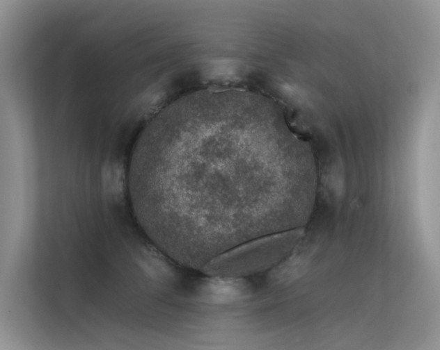 X0000112380708200908131529