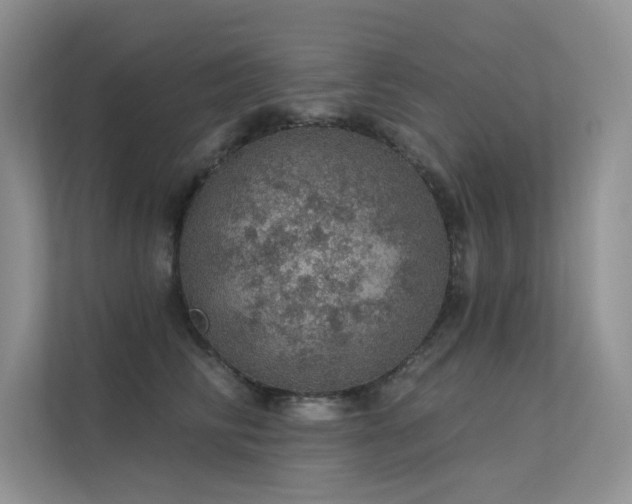 X0000112380710200908131529