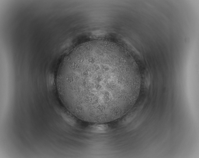 X0000112380711200908131529