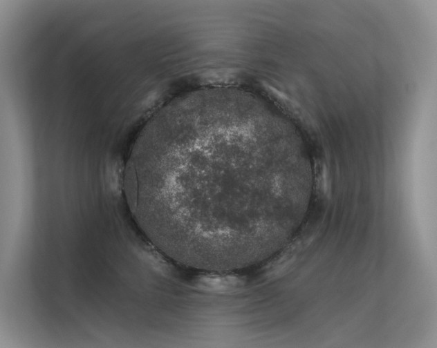 X0000112380712200908131529