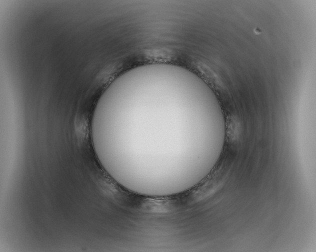 X0000112380713200908131529