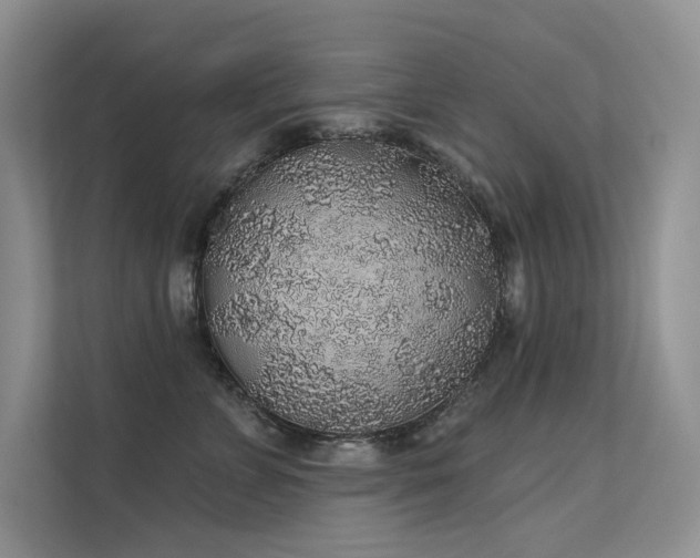 X0000112380715200908131529