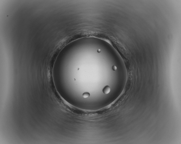 X0000112380716200908131529