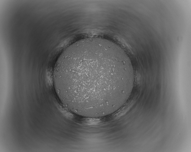 X0000112380719200908131529