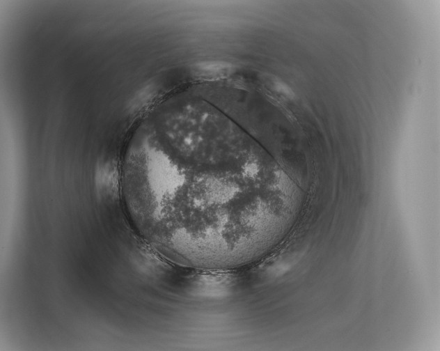 X0000112380720200908131529