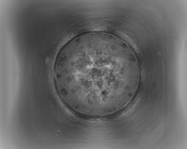 X0000112380721200908131528