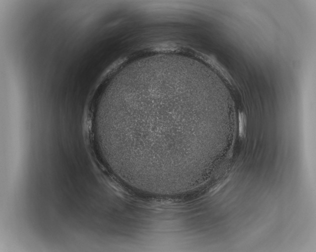 X0000112380723200908131528