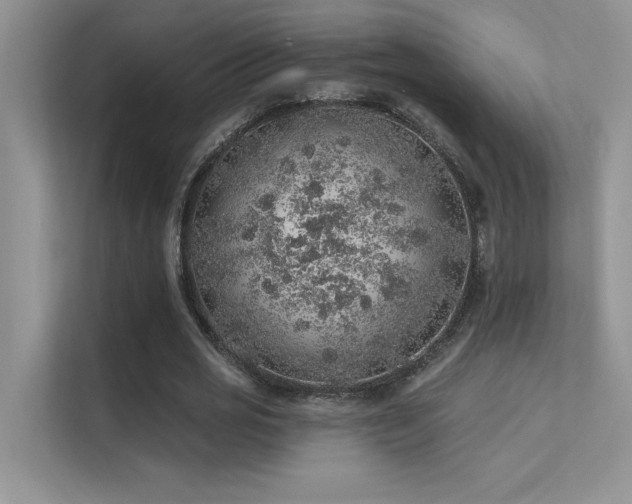 X0000112380725200908131528