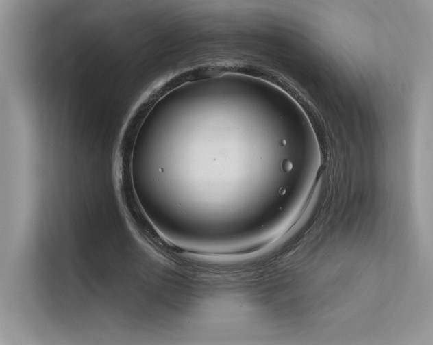 X0000112380726200908131528