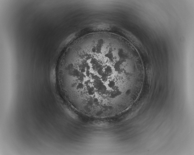 X0000112380729200908131528