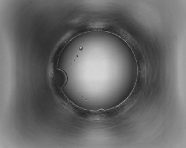 X0000112380731200908131528