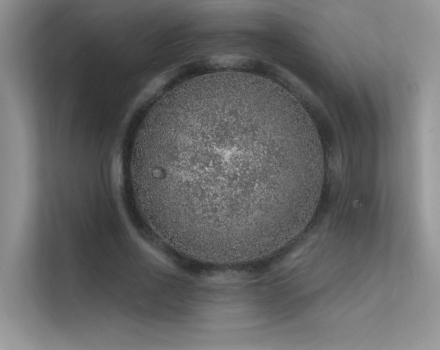 X0000112380734200908131528