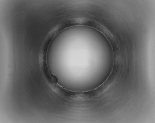 X0000112380736200908131528