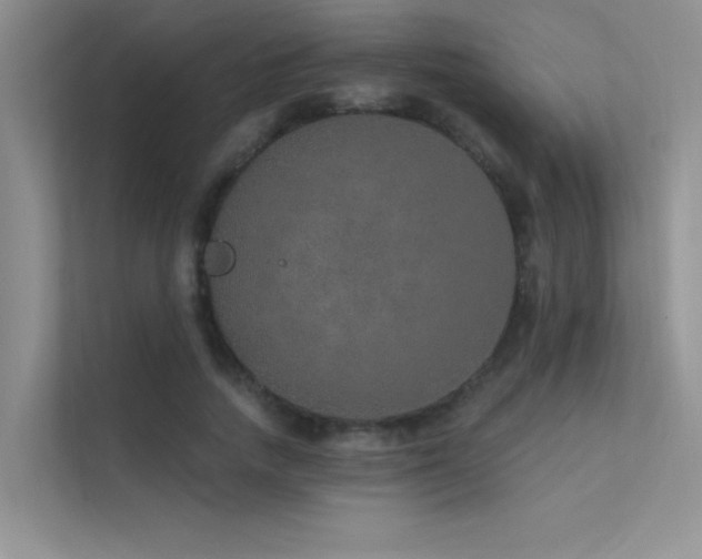 X0000112380738200908131528