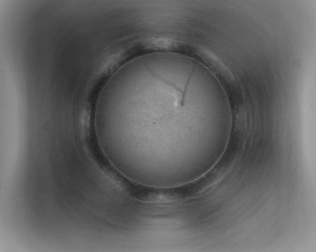 X0000112380739200908131528