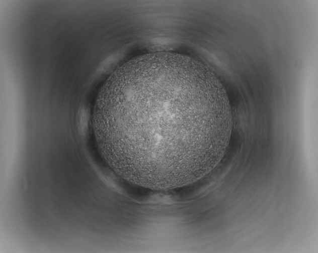 X0000112380742200908131528