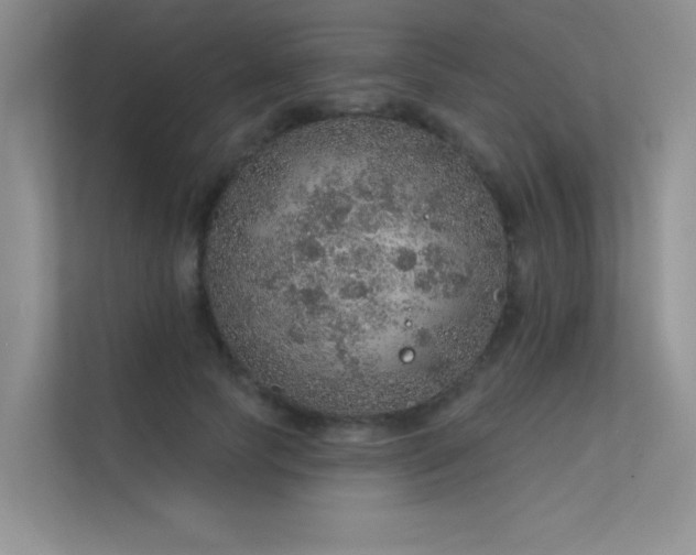 X0000112380745200908131528